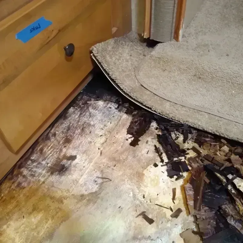 Wood Floor Water Damage in Kincaid, IL